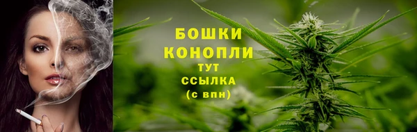 меф Каменск-Шахтинский