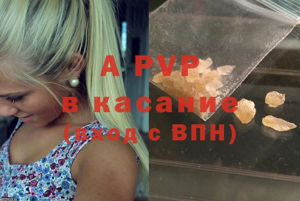 spice Каменка