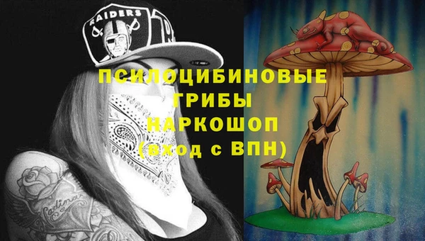 меф Каменск-Шахтинский
