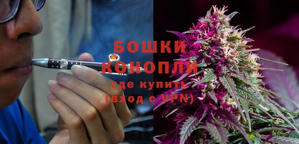 spice Каменка