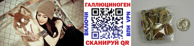 Купить где  Задонск  Псилоцибиновые грибы мицелий 